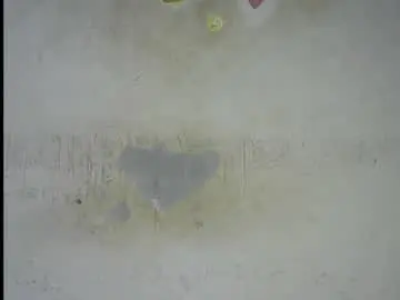 Wet_pussy200  live sex cam