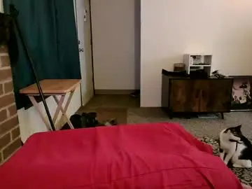 Average_girl222  live sex cam