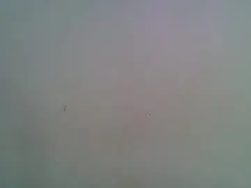 Miss_rihanna2  live sex cam