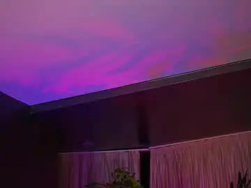 Hotbustybabex  live sex cam