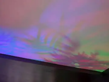 Hotbustybabex  live sex cam