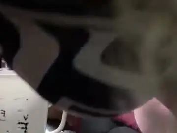 Shawel_sharna  live sex cam