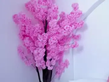 Valle_haworth  live sex cam