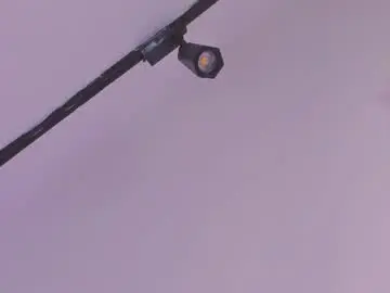 _curly_girl_  live sex cam