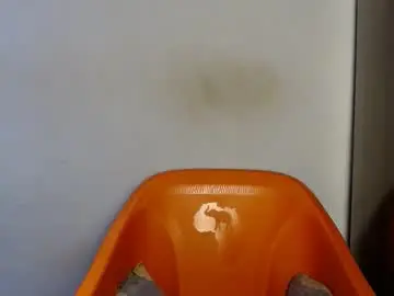 Dirtydesirebabe  live sex cam