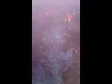 Selanara  live sex cam