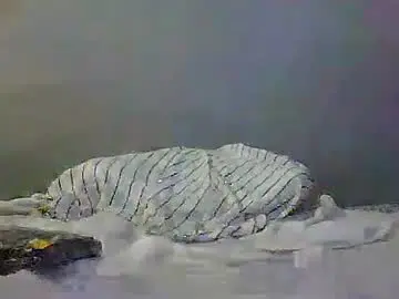 Luvu4everxxx  live sex cam