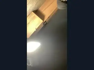 Sonya_miso  live sex cam