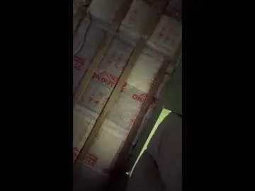 Black_foxes  live sex cam