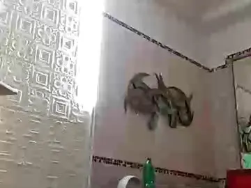 Striphubs  live sex cam