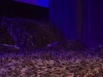 Goddessmaenyc  live sex cam