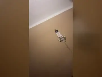 Gingaaale  live sex cam