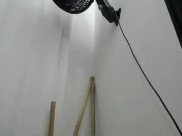Jimena_hill  live sex cam