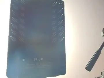 Cat_nasty  live sex cam