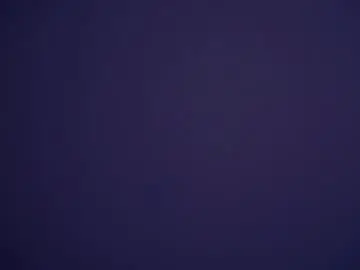 Shelleybuss  live sex cam