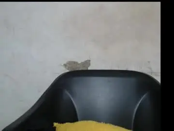 Drippussy30  live sex cam