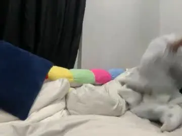 Koyoteej  live sex cam