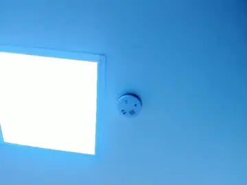 Nicolesteele_  live sex cam