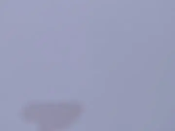 Viictoria_becker  live sex cam