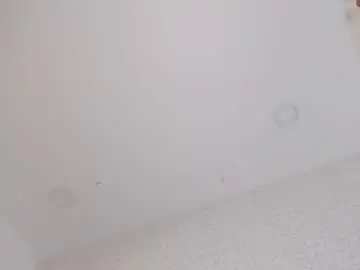 Skysaenz  live sex cam