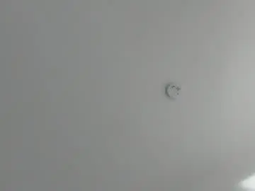 Skysaenz  live sex cam