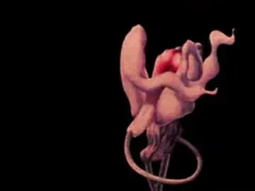 Katsurotaro  live sex cam