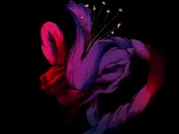 Katsurotaro  live sex cam