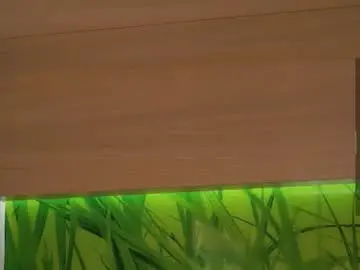 _wicked_game  live sex cam