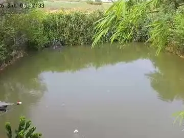 Jiamer  live sex cam