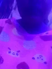 Sneha verma  live sex cam