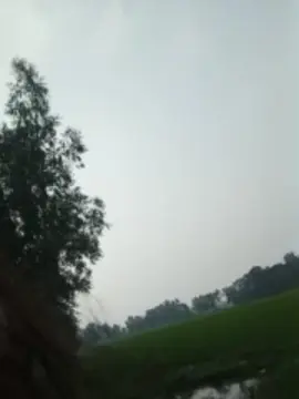 ROOH28B  live sex cam