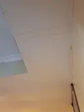 Nishubabytelgu  live sex cam