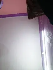 Jannat  live sex cam