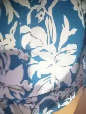 Sangeeta Bide  live sex cam