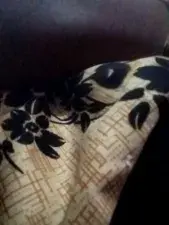 Hot Nandini  live sex cam
