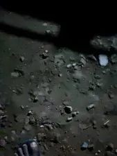 Jot  live sex cam