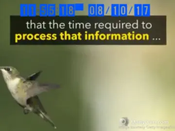 Klubnika23  live sex cam