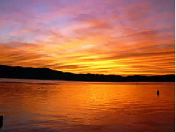 CustomerService  live sex cam