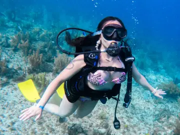 AliceSampaoli  live sex cam