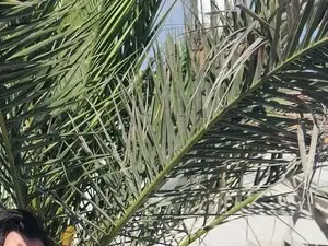 Mellisaangel  live sex cam