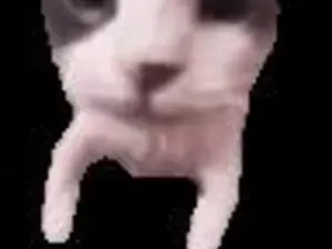 Ogresack  live sex cam