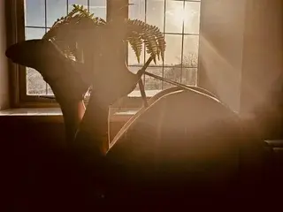 KatieCarterX  live sex cam