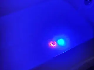 MagicTitty22  live sex cam
