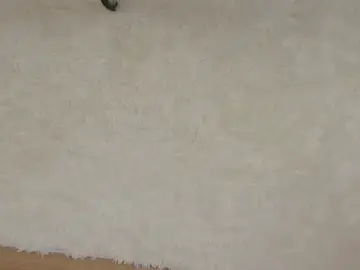 Boneyblue  live sex cam