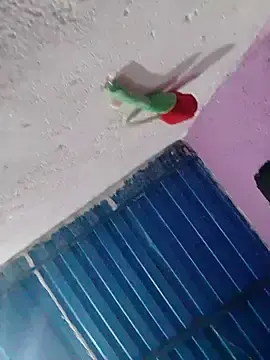 Evelyn666t  live sex cam
