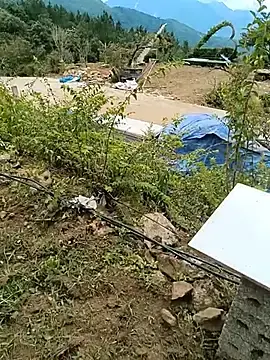 Mai-lingg  live sex cam