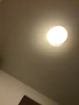 Dorcika2  live sex cam