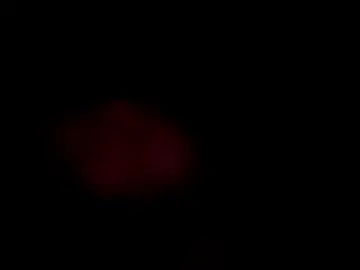 Realasiangirll  live sex cam