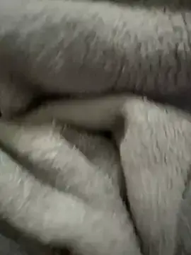 TOPLESS25  live sex cam