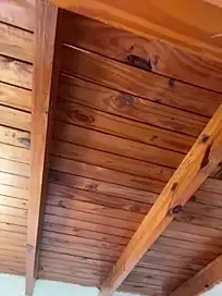 Canddygate  live sex cam